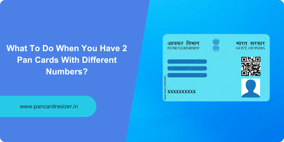 2 pan cards with different number